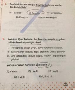 5.
Aşağıdakilerden hangisi beyinde bulunan yapılar-
dan biri değildir?
A) Talamus
B) Omurilik
C) Hipotalamus
D) Pons
E) Omurilik-soğanı
6.
Ayağına iğne batırılan bir bireyde meydana gelen
refleks hareketiyle ilgili olarak,
1. Reseptörle alınan uyarı, duyu nöronuna aktarılır.
II. Motor nöron impulsu tepki organina (kasa) götürür.
III. Ara nörondan impuls geçişi, etkinin algılandığını
gösterir.
yorumlarından hangileri yapılabilir?
A) Yalnız!
B) I ve II
C) I ve III
D) II ve III
E) I, II ve III