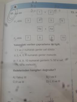 B.
AA
AO
Ad
1
X
2
13. A
11. Ata dol
ri
3
4
5
6
F, dölü
Aa
X
Aa
7.
8
9
10
F2 dölü
Yukarıdaki verilen çaprazlama ile ilgili,
1. 1 ve 2 numaralı genler saf döldür.
II. 3, 4, 5, 6 numaralı genler melezdir.
III. 7, 8, 9, 10 numaralı genlerin % 50'si saf,
% 50's