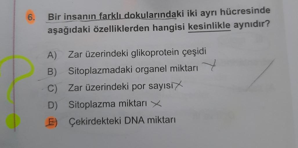 6.
Bir insanın farklı dokularındaki iki ayrı hücresinde
aşağıdaki özelliklerden hangisi kesinlikle aynıdır?
A) Zar üzerindeki glikoprotein çeşidi
B) Sitoplazmadaki organel miktarı 7
C) Zar üzerindeki por sayısıx
D) Sitoplazma miktarı x
E) Çekirdekteki DNA 