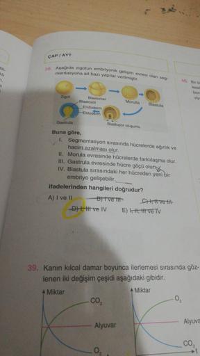 CAP / AYT
38. Aşağıda zigotun embriyonik gelişim evresi olan seg.
mentasyona ait bazı yapılar verilmiştir.
40. Bir
kesi
bor
vy
Zigot
Morulla
Blastomer
Blastoso
Endoderm
Ektoderm
Blastula
Gastrula
Blastopor oluşumu
Buna göre,
1. Segmantasyon sırasında hücre