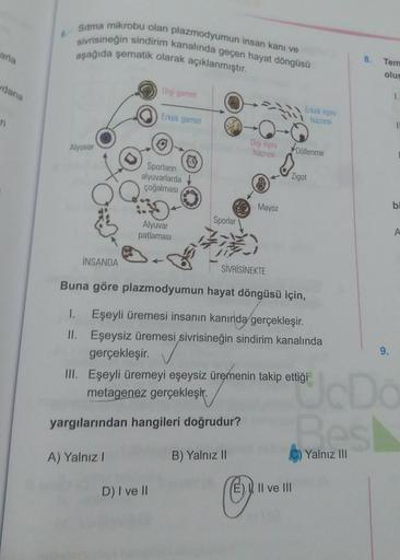 Sitma mikrobu olan plazmodyumun insan kanı ve
sivrisineğin sindirim kanalında geçen hayat döngüsü
aşağıda şematik olarak açıklanmıştır.
aria
8.
Tem
olu
dana
Dişi gamet
1.
Erkek gamet
Erkek eşey
Whücresi
n
1
Dişi eşey
Alyuvar
hücresi
Döllenme
Sporların
alyu