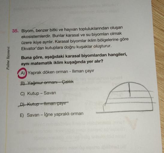 35. Biyom, benzer bitki ve hayvan topluluklarından oluşan
ekosistemlerdir. Bunlar karasal ve su biyomları olmak
üzere ikiye ayrılır. Karasal biyomlar iklim bölgelerine göre
Ekvator'dan kutuplara doğru kuşaklar oluşturur.
Palme Yayınevi
Buna göre, aşağıdaki karasal biyomlardan hangileri,
aynı matematik iklim kuşağında yer alır?
A) Yaprak döken orman - Iliman çayır
B) Yağmur ormanı Çalılık
C) Kutup - Savan
D) Kutup-thman çayır.
E) Savan - iğne yapraklı orman
