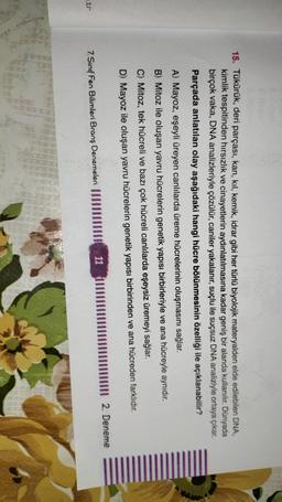 15. Tükürük, deri parçası, kan, kil, kemik, idrar gibi her türlü biyolojik materyalden elde edilebilen DNA,
kimlik tespitinden hırsızlık ve cinayetlerin aydınlatılmasına kadar geniş bir alanda kullanılır. Dünyada
birçok vaka, DNA analizleriyle çözülür, can