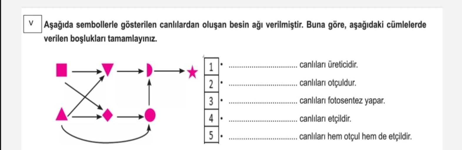 V Aşağıda sembollerle gösterilen canlılardan oluşan besin ağı verilmiştir. Buna göre, aşağıdaki cümlelerde
verilen boşlukları tamamlayınız.
1
canlıları üreticidir.
2
canlıları otçuldur.
3
canlıları fotosentez yapar.
4
canlıları etçildir.
canlıları hem otçul hem de etçildir.
5