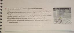 2.
Bu görselde verilmek istenen mesaj aşağıdakilerden hangisidir?
La cocuk
A) Çocuk oyun sırasında kendisini, duygularını, düşüncelerini ifade etme olanağı bu-
lur.
B) Oyun, çocukların hem fiziksel hem de ruhsal gelişimleri için son derece önemlidir.
C) Çocukların oyunları ve oyuncakları çevrelerine göre şekillenmektedir.
Dy Anne babalar iş yaşamından dolayı çocuklarına vakit ayıramayıp onlarla oyun oy-
nayamamaktadır.