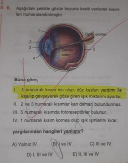 K 6. Aşağıdaki şekilde gözün boyuna kesiti verilerek kısım-
ları numaralandırılmıştır.
Optik sinirler
2-
3
5
Camsi
cisim
4
Buna göre,
I. 4 numaralı kısım iris olup, düz kasları yardımı ile
kasılıp gevşeyerek göze giren ışık miktarını ayarlar.
II. 2 ve 3 numaralı kısımlar kan damar bulundurmaz.
III. 5 numaralı kısımda fotoreseptörler bulunur.
IV. 1 numaralı kısım kornea olup ışık ışınlarını kırar.
yargılarından hangileri yanlıştır?
A) Yalnız IV
B) ve IV
C) III ve IV
D) I, III ve IV
E) II, III ve IV