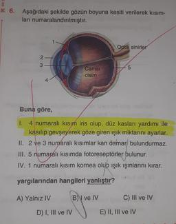 K 6. Aşağıdaki şekilde gözün boyuna kesiti verilerek kısım-
ları numaralandırılmıştır.
Optik sinirler
2-
3
5
Camsi
cisim
4
Buna göre,
I. 4 numaralı kısım iris olup, düz kasları yardımı ile
kasılıp gevşeyerek göze giren ışık miktarını ayarlar.
II. 2 ve 3 numaralı kısımlar kan damar bulundurmaz.
III. 5 numaralı kısımda fotoreseptörler bulunur.
IV. 1 numaralı kısım kornea olup ışık ışınlarını kırar.
yargılarından hangileri yanlıştır?
A) Yalnız IV
B) ve IV
C) III ve IV
D) I, III ve IV
E) II, III ve IV
