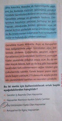 Orta Amerika, Meksika ve Kolombiya'da yaşa-
yan bu kurbağa türünün görünümü oldukça
renklidirGündüzleri dinlenir ve geceleri aktiftir
Genellikle çekirge ve
güvelerle beslenir. Din-
lenirken kendisine yaklaşan herhangi bir avcı
hayvan olduğunda birden gözle