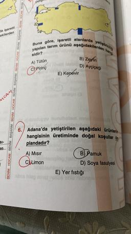 Ja işaretli
akilerden
yapılan tarım ürünü aşağıdakilerden hann
Buna göre, işaretli alanlarda yetiştirici
sidir?
A) Tütün
B) Zeytin
D) Ayçiçeği
Pirinç
E) Kenevir
)
BENİM HOCAM BENİM BAŞARIM BENİM HOCAM BENİM BAŞARIM BENİM HOCAM BENIM BAŞAPIM Be HOCAM BEN
ncay
BUYU nnboloncong
6.) Adana'da yetiştirilen aşağıdaki ürünlerin
hangisinin üretiminde doğal koşullar ön
plandadır?
SI-
en
A) Misir
B) Pamuk
D) Soya fasulyesi
C Limon
E) Yer fıstığı
segon