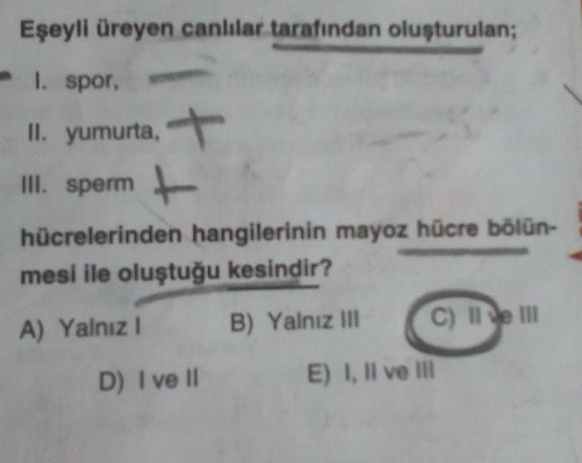 Eşeyli üreyen canlılar tarafından oluşturulan;
- 1. spor.
.
II. yumurta, +
III. sperm
hücrelerinden hangilerinin mayoz hücre bölün-
mesi ile oluştuğu kesindir?
B) Yalnız III
C) III
A) Yalnız
D) I ve II
E) I, II ve II