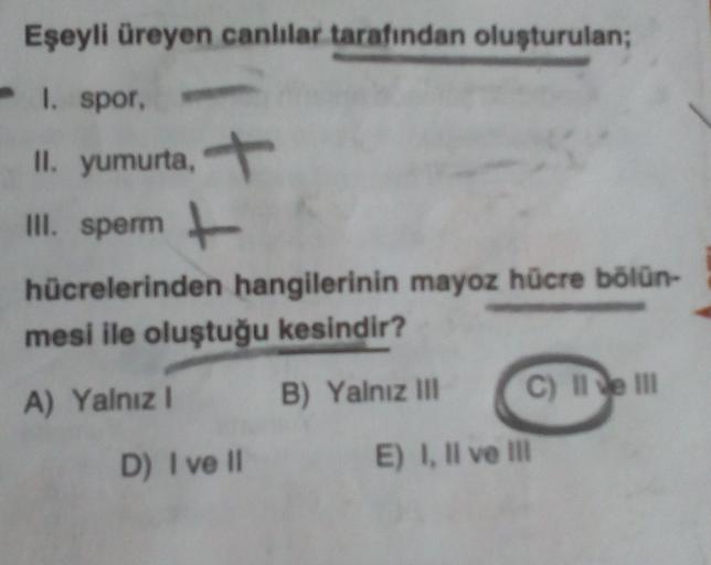 Eşeyli üreyen canlılar tarafından oluşturulan;
- 1. spor.
.
II. yumurta, +
III. sperm
hücrelerinden hangilerinin mayoz hücre bölün-
mesi ile oluştuğu kesindir?
B) Yalnız III
C) III
A) Yalnız
D) I ve II
E) I, II ve II
