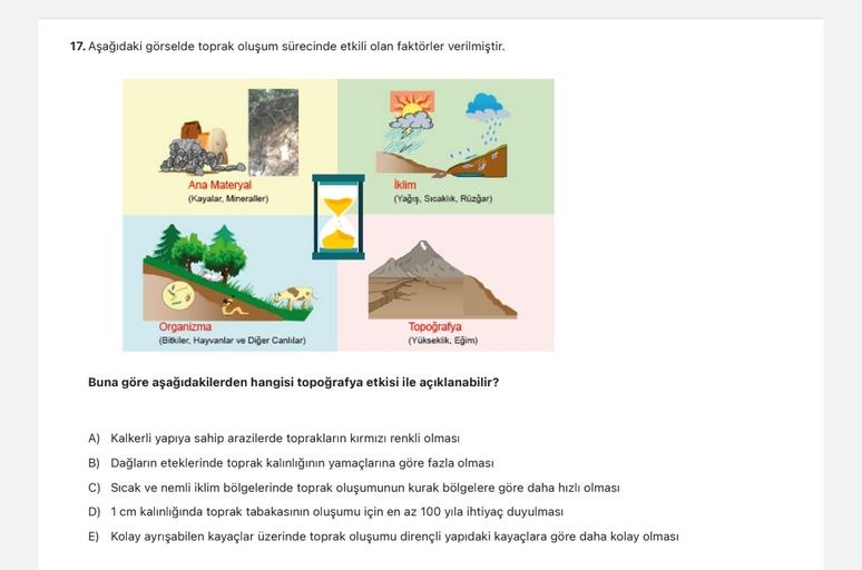 17. Aşağıdaki görselde toprak oluşum sürecinde etkili olan faktörler verilmiştir.
Ana Materyal
(Kayalar, Mineraller)
iklim
(Yağış, Sıcaklık, Rüzgar)
Organizma
(Bitkiler. Hayvanlar ve Diğer Canlılar)
Topoğrafya
(Yükseklik, Eğim)
Buna göre aşağıdakilerden hangisi topoğrafya etkisi ile açıklanabilir?
A) Kalkerli yapıya sahip arazilerde toprakların kırmızı renkli olması
B) Dağların eteklerinde toprak kalınlığının yamaçlarına göre fazla olması
C) Sıcak ve nemli iklim bölgelerinde toprak oluşumunun kurak bölgelere göre daha hızlı olması
D) 1 cm kalınlığında toprak tabakasının oluşumu için en az 100 yıla ihtiyaç duyulması
E) Kolay ayrışabilen kayaçlar üzerinde toprak oluşumu dirençli yapıdaki kayaçlara göre daha kolay olması