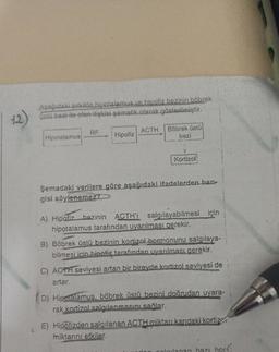 +2)
Aşağıdaki şekilde hipotalamus ve hipofiz bezinin böbrek
üstü bezi ile olan ilişkisi şematik olarak gösterilmiştir.
RF
ACTH
Böbrek üstü
bezi
Hipotalamus
Hipofiz
Kortizol
Şemadaki verilere göre aşağıdaki ifadelerden han-
gisi söyleneniez?
A) Hipofiz bezinin ACTHI salgılayabilmesi için
hipotalamus tarafından uyarılması gerekir.
B) Böbrek üstü bezinin kortizol hormonunu salgılaya-
bilmesi icin bipofiz tarafından uyarılması gerekir.
C) ACTH seviyesi artan bir bireyde kortizol seviyesi de
artar.
D) Hipotalamus, böbrek üstü bezini doğrudan uyara-
rak kortizol salgılanmasını sağlar.
E) Hipofizden salgılanan ACTH miktarıkandaki korti/
miktarını etkiler.
malilanan hazı hor
