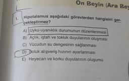 On Beyin (Ara Bey
Hipotalamus aşağıdaki görevlerden hangisini ger-
1.
çekleştirmez?
A) Uyku-uyanıklık durumunun düzenlenmesi
B) Açlık, iştah ve tokluk duyularının oluşması
C) Vücudun su dengesinin sağlanması
D) Soluk alışveriş hızının ayarlanması
E) Heyecan ve korku duyularının oluşumu
