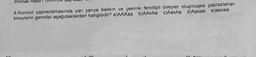 ihtimali
8. Kontrol çaprazlamasında yarı yarıya baskın ve çekinik fenotipli bireyler oluşmuşsa çaprazlanan
bireylerin genotipi aşağıdakilerden hangisidir? a)AAXaa b)AAXAa c)AaxAa d)Aaxaa e)aaxaa
TUT
A:
