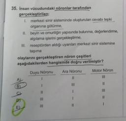 35. Insan vücudundaki nöronlar tarafından
gerçekleştirilen
1. merkezi sinir sisteminde oluşturulan cevabı tepki
organına götürme,
II. beyin ve omuriliğin yapısında bulunma, değerlendirme,
algılama işlerini gerçekleştirme,
III. reseptörden aldığı uyarıları merkezi sinir sistemine
taşıma
olaylarını gerçekleştiren nöron çeşitleri
aşağıdakilerden hangisinde doğru verilmiştir?
Duyu Nöronu
Ara Noronu
II
Motor Nöron
III
AL
II
B.
11
II
III
D)
E
1
III
