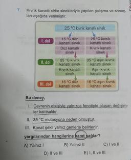 Tarte
7.
Kivrik kanatlı sirke sinekleriyle yapılan çalışma ve sonuç-
ları aşağıda verilmiştir.
25 °C kivrik kanatlı sinek
1. döl
16 °C düz
kanatlı sinek
Düz kanatlı
sinek
25 °C kivrik
kanatlı sinek
Kivrik kanatlı
sinek
II. dol
25 °C kivrik
kanatlı sinek
Kivrik kanatlı
sinek
35 °C aşırı kıvrık
kanatlı sinek
Aşırı kıvrık
kanatlı sinek
III. dol
16 °C düz
kanatlı sinek
16 °C aşırı kıvrık
kanatlı sinek
Bu deney,
I. Çevrenin etkisiyle yalnızca fenotipte oluşan değişim-
ler kalıtsaldır.
II. 35 °C mutasyona neden olmuştur.
III. Kanat şekli yalnız genlerle belirlenir.
yargılarından hangilerine kanıt sağlar?
A) Yalnız!
B) Yalnız II
C) I ve II
D) Il ve III
E) I, II ve III