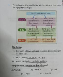 Tarte
7.
Kivrik kanatlı sirke sinekleriyle yapılan çalışma ve sonuç-
ları aşağıda verilmiştir.
25 °C kivrik kanatlı sinek
1. döl
16 °C düz
kanatlı sinek
Düz kanatlı
sinek
25 °C kivrik
kanatlı sinek
Kivrik kanatlı
sinek
II. dol
25 °C kivrik
kanatlı sinek
Kivrik kanatlı
sinek
35 °C aşırı kıvrık
kanatlı sinek
Aşırı kıvrık
kanatlı sinek
III. dol
16 °C düz
kanatlı sinek
16 °C aşırı kıvrık
kanatlı sinek
Bu deney,
I. Çevrenin etkisiyle yalnızca fenotipte oluşan değişim-
ler kalıtsaldır.
II. 35 °C mutasyona neden olmuştur.
III. Kanat şekli yalnız genlerle belirlenir.
yargılarından hangilerine kanıt sağlar?
A) Yalnız!
B) Yalnız II
C) I ve II
D) Il ve III
E) I, II ve III
