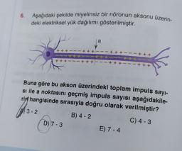 6.
Aşağıdaki şekilde miyelinsiz bir nöronun aksonu üzerin-
deki elektriksel yük dağılımı gösterilmiştir.
a
+++ ---
+ + +
+++ -
+++ --
- +++
+ 4
+ + +
-++
+---
+ + +
Buna göre bu akson üzerindeki toplam impuls sayi-
si ile a noktasını geçmiş impuls sayısı aşağıdakile-
riyi hangisinde sırasıyla doğru olarak verilmiştir?
13-2
B) 4 - 2
D) 7-3
C) 4-3
E) 7 - 4
