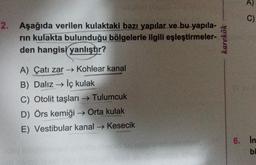 A)
C
)
C
2. Aşağıda verilen kulaktaki bazı yapılar ve bu yapıla-
rin kulakta bulunduğu bölgelerle ilgili eşleştirmeler-
den hangisi yanlıştır?
karekök
A) Çatı zar → Kohlear kanal
B) Dalız → İç kulak
C) Otolit taşları Tulumcuk
D) Örs kemiği → Orta kulak
E) Vestibular kanal → Kesecik
6. In
bi
