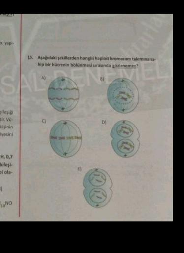 b. yapi-
15. Aşağıdaki şekillerden hangisi haploit kromozom takımına sa-
hip bir hücrenin bölünmesi sırasında gözlenemez?
A)
NIE
EP
8)
SA
o
bileşig)
tir. Vü-
kişinin
iyesini
D)
H,0,7
bileşi-
Si ola-
E)
)
1.NO