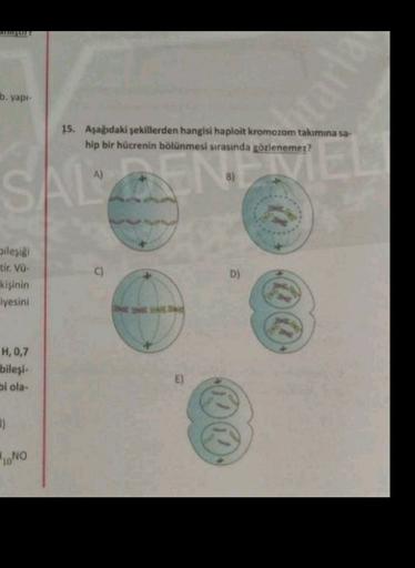 b. yapi-
15. Aşağıdaki şekillerden hangisi haploit kromozom takımına sa-
hip bir hücrenin bölünmesi sırasında gözlenemez?
A)
NIE
EP
8)
SA
o
bileşig)
tir. Vü-
kişinin
iyesini
D)
H,0,7
bileşi-
Si ola-
E)
)
1.NO
