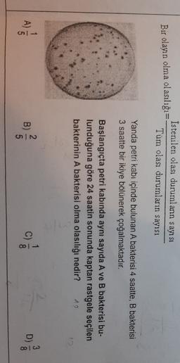 Bir olayın olma olasılığı=-
Istenilen olası durumların sayı sı
Tüm olası durumların sayısı
Yanda petri kabı içinde bulunan A bakterisi 4 saatte, B bakterisi
3 saatte bir ikiye bölünerek çoğalmaktadır.
Başlangıçta petri kabinda aynı sayıda A ve B bakterisi bu-
lunduğuna göre 24 saatin sonunda kaptan rastgele seçilen
bakterinin A bakterisi olma olasılığı nedir? 12
ON
D)
CO
00