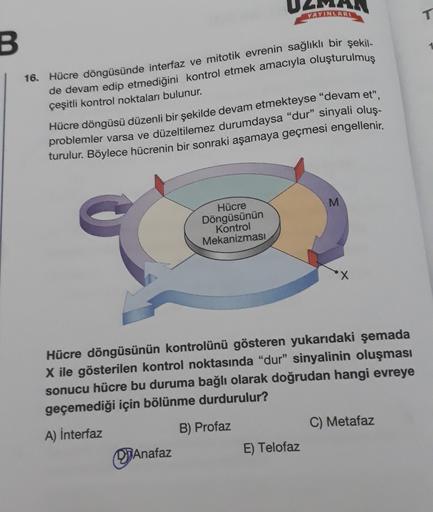 YAYINLARI
T
B
16. Hücre döngüsünde interfaz ve mitotik evrenin sağlıklı bir şekil-
de devam edip etmediğini kontrol etmek amacıyla oluşturulmuş
çeşitli kontrol noktaları bulunur.
Hücre döngüsü düzenli bir şekilde devam etmekteyse “devam et",
problemler var