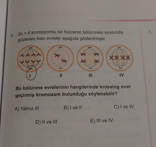 7.
5.
2n = 4 kromozomlu bir hücrenin bölünmesi sırasında
gözlenen bazı evreler aşağıda gösterilmiştir.
AA
****
f
III
IV
Bu bölünme evrelerinin hangilerinde krossing over
geçirmiş kromozom bulunduğu söylenebilir?
A) Yalnız III
B) I ve II
C) I ve IV
D) II ve