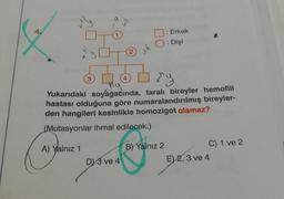 A.
: Erkek
: Dişi
ch
(2
3
4
thy
Yukarıdaki soyağacında, taralı bireyler hemofili
hastası olduğuna göre numaralandırılmış bireyler-
den hangileri kesinlikle homozigot olamaz?
(Mutasyonlar ihmal edilecek.)
A) Yalnız 1
B) Yalnız 2
C) 1 ve 2
E) 2, 3 ve 4
DY 3 ve 4