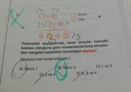 A.
: Erkek
: Dişi
ch
(2
3
4
thy
Yukarıdaki soyağacında, taralı bireyler hemofili
hastası olduğuna göre numaralandırılmış bireyler-
den hangileri kesinlikle homozigot olamaz?
(Mutasyonlar ihmal edilecek.)
A) Yalnız 1
B) Yalnız 2
C) 1 ve 2
E) 2, 3 ve 4
DY 3 ve 4
