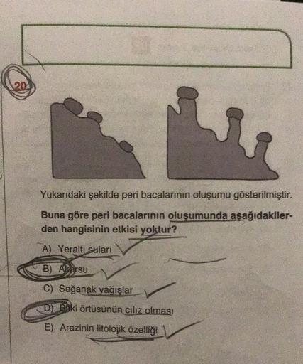 120
Yukarıdaki şekilde peri bacalarının oluşumu gösterilmiştir.
Buna göre peri bacalarinin oluşumunda aşağıdakiler-
den hangisinin etkisi yoktur?
A) Yeraltı suları
B) Akarsu
C) Sağanak yağışlar
Baki örtüsünün cılız olması
E) Arazinin litolojik özelliği