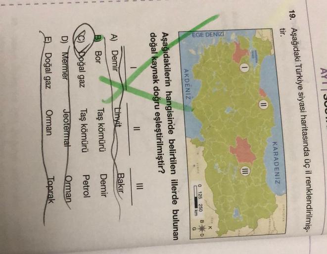 AYU
19. Aşağıdaki Türkiye siyasi haritasında üç il renklendirilmiş
tir.
KARADENİZ
AN
II
1
III
EGE DENIZI
K
B
D
0 125 250
km
G
AKDENIZ
Aşağıdakilerin hangisinde belirtilen illerde bulunan
doğal kaynak doğru eşleştirilmiştir?
II
1
1
1
Bakır
Linyit
A) Demir
Demir
B)
Bor
Taş kömürü
1
C Doğal gaz
Taş kömürü
Petrol
D) Mermer
Jeotermat
Orman
Doğal gaz
Orman
Toprak
1
1