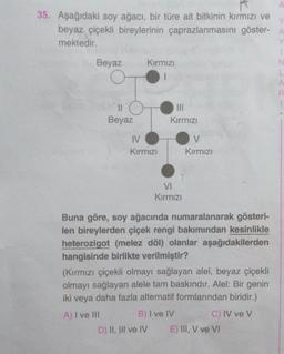 35. Aşağıdaki soy ağacı, bir türe ait bitkinin kırmızı ve
beyaz çiçekli bireylerinin çaprazlanmasını göster-A
mektedir.
Beyaz
Kırmızı
2
1
II
Beyaz
Kırmızı
IV
Kırmızı
V
Kirmizi
VI
Kirmizi
Buna göre, soy ağacında numaralanarak gösteri-
len bireylerden çiçek rengi bakımından kesinlikle
heterozigot (melez döl) olanlar aşağıdakilerden
hangisinde birlikte verilmiştir?
(Kırmızı çiçekli olmayı sağlayan alel, beyaz çiçekli
olmayı sağlayan alele tam baskındır. Alel: Bir genin
iki veya daha fazla alternatif formlarından biridir.)
A) I ve III
B) I ve IV
C) IV ve V
D) II, III ve IV E) III, V ve VI