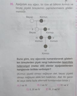 35. Aşağıdaki soy ağacı, bir türe ait bitkinin kırmızı ve
beyaz çiçekli bireylerinin çaprazlanmasını göster-A
mektedir.
Beyaz
Kırmızı
2
1
II
Beyaz
Kırmızı
IV
Kırmızı
V
Kirmizi
VI
Kirmizi
Buna göre, soy ağacında numaralanarak gösteri-
len bireylerden çiçek rengi bakımından kesinlikle
heterozigot (melez döl) olanlar aşağıdakilerden
hangisinde birlikte verilmiştir?
(Kırmızı çiçekli olmayı sağlayan alel, beyaz çiçekli
olmayı sağlayan alele tam baskındır. Alel: Bir genin
iki veya daha fazla alternatif formlarından biridir.)
A) I ve III
B) I ve IV
C) IV ve V
D) II, III ve IV E) III, V ve VI
