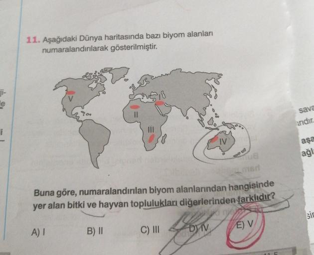 11. Aşağıdaki Dünya haritasında bazı biyom alanları
numaralandırılarak gösterilmiştir.
ji-
le
sava
indir
i
IV
aşa
ağı
ST
Buna göre, numaralandırılan biyom alanlarından hangisinde
yer alan bitki ve hayvan toplulukları diğerlerinden farklıdır?
sic
DY TV
A)
C) III
E) V
B) ||