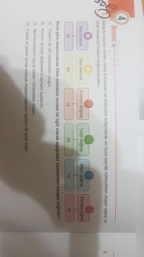 4
»
Deneme >>
Aşağıda sayıları verilen renkli boncuklar ve düğmeler kullanılarak en fazla sayıda nükleotitten oluşan sağlıklı bir
DNA molekülü modeli oluşturulacaktır.
5.
Mor boncuk
Sari boncuk
Kırmızı düğme
Yeşil düğme
Mavi düğme
Pembe düğme
64
80
14
20
10
16
Buna göre oluşturulacak DNA molekülü modeli ile ilgili olarak aşağıdaki ifadelerden hangisi doğrudur?
A) Toplam 26 çift nükleotitten oluşur.
B) Kırmızı ve yeşil düğmelerin tamamı kullanılır.
C) Mor boncukların sayısı kadar nükleotitten oluşur.
D) Fosfat ve şekeri temsil edecek malzemelerden toplam 38 adet artar.