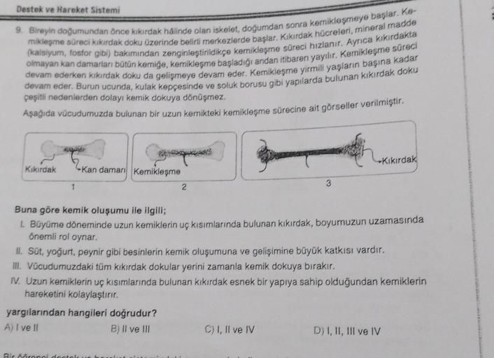 Destek ve Hareket Sistemi
9. Bireyin doğumundan önce kıkırdak halinde olan iskelet, doğurdan sonra kemikleşmeye başlar. Ke-
mikleşme süreci kikirdak doku Üzerinde belirti merkezlerde başlar. Kikirdak hücreleri, mineral madde
(kalsiyum, fosfor gibi) bakımından zenginleştirildikçe kemikleşme süreci hızlanır. Ayrıca kıkırdakta
devam ederken kikırdak doku da gelişmeye devam eder. Kemikleşme yirmili yaşların başına kadar
devam eder. Burun ucunda, kulak kepçesinde ve soluk borusu gibi yapılarda bulunan kıkırdak doku
çeşitli nedenlerden dolayı kemik dokuya dönüşmez.
Aşağıda vücudumuzda bulunan bir uzun kemikteki kemikleşme sürecine ait görseller verilmiştir.
-Kikirdak
Kikirdak
Kan damanı Kemikleşme
3
1
2.
Buna göre kemik oluşumu ile ilgili;
1. Büyüme döneminde uzun kemiklerin uç kısımlarında bulunan kıkırdak, boyumuzun uzamasında
önemli rol oynar.
II. Sot, yoğurt, peynir gibi besinlerin kemik oluşumuna ve gelişimine büyük katkısı vardır.
III. Vücudumuzdaki tüm kıkırdak dokular yerini zamanla kemik dokuya bırakır.
IV. Uzun kemiklerin uç kısımlarında bulunan kıkırdak esnek bir yapıya sahip olduğundan kemiklerin
hareketini kolaylaştırır.
yargılarından hangileri doğrudur?
A) I ve II
B) Il ve III
C) I, II ve IV
D) I, II, III ve IV
Bir rangi doctor