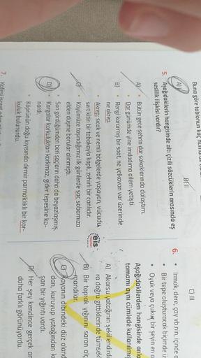 Buna göre tablonun kaç numu un DU
C) III
B) II
A)
6.
5. Aşağıdakilerin hangisinde altı çizili sözcüklerin arasında es
seslilik ilişkisi vardır?
Irmak, dere, çay vb.nin, içinde a
Bir tepe oluşturacak biçimde üs
Oyuk veya çukur bir şeyin en a
Aşağıdakilerden hangisinde anla
tamamı aynı cümlede kullanılmış
A)
B)
Bütün gece şehrin dar sokaklarında dolaştım.
Dar günümde yine imdadıma ailem yetişti.
Rengi kararmış bir saat, ne yelkovan var üzerinde
ne akrep
Akrep; sıcak ve nemli bölgelerde yaşayan, vücudu
reis
sert kitin bir tabakayla kaplı, zehirli bir canlıdır.
Köyümüze taşındığımız ilk günlerde sac sobamıza
elden düşme borular alınmıştı.
• Son gördüğümden beri saçların daha da beyazlaşmış.
Kargalar korkuluktan korkmaz, gider tepesine ko-
nardi.
Yayinlar
A) Akarsu yatağının şekillendirdi
ra doğru gittiklerinde tümsek
B) Bir toprak yığınını saran alç
mandilar.
C) Kayanın dibindeki düz aland
dan, kuruyup yatağından ko
şan bir yığıntı vardı.
DI Her şey kendince gerçek ar
daha farklı görünüyordu.
D)
Köprünün doğu kıyısında demir parmaklıklı bir kor-
kuluk bulunurdu.
7. Kafesi isaret