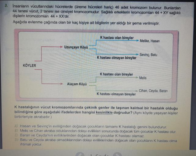 3. Insanların vücutlarındaki hücrelerde (üreme hücreleri hariç) 46 adet kromozom bulunur. Bunlardan
44 tanesi vücut, 2 tanesi ise cinsiyet kromozomudur. Sağlıklı erkeklerin kromozomları 44 + XY sağlıklı
dişilerin kromozomları 44 + XX'dir.
Aşağıda evlenme çağında olan bir kaç kişiye ait bilgilerin yer aldığı bir şema verilmiştir.
K hastası olan bireyler
Melike, Hasan
Uzunçayır Köyü
Sevinç, Batu
K hastası olmayan bireyler
KÖYLER
K hastası olan bireyler
Melis
Alaçam Köyü
Cihan, Ceyda Baran
K hastası olmayan bireyler
K hastalığının vücut kromozomlarında çekinik genler ile taşınan kalıtsal bir hastalık olduğu
bilindiğine göre aşağıdaki ifadelerden hangisi kesinlikle doğrudur? (Aynı köyde yaşayan kişiler
birbirleriyle akrabadır.)
A) Hasan ve Sevinç'in evliliğinden doğacak çocukların tamamı K hastalığı genini bulundurur.
3) Melis ve Cihan akraba olduklarından dolayı evlilikler sonucunda doğacak tüm çocuklar K hastası olur.
C) Baran ve Ceyda'nın evliliklerinden doğacak olan çocuklar K hastası olamaz.
Batu ve Ceyda akraba olmadıklarından dolayı evliliklerinden doğacak olan çocukların K hastası olma
ihtimali yoktur.