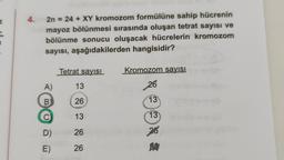 4.
2n = 24 + XY kromozom formülüne sahip hücrenin
mayoz bölünmesi sırasında oluşan tetrat sayısı ve
bölünme sonucu oluşacak hücrelerin kromozom
sayısı, aşağıdakilerden hangisidir?
Tetrat sayısı
Kromozom sayısı
A)
13
26
B
26
13
C
13
13
D)
26
26
E)
26
A2
