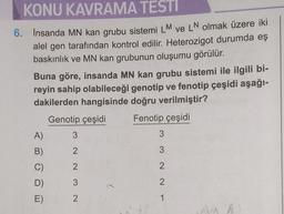 KONU KAVRAMA TESTI
6. İnsanda MN kan grubu sistemi LM ve LN olmak üzere iki
alel gen tarafından kontrol edilir. Heterozigot durumda eş
baskınlık ve MN kan grubunun oluşumu görülür.
Buna göre, insanda MN kan grubu sistemi ile ilgili bi-
reyin sahip olabileceği genotip ve fenotip çeşidi aşağı-
dakilerden hangisinde doğru verilmiştir?
Genotip çeşidi Fenotip çeşidi
A) 3
3
B)
2
3
C)
2
2
NW NN
D)
3
2
C
E)
2
1
