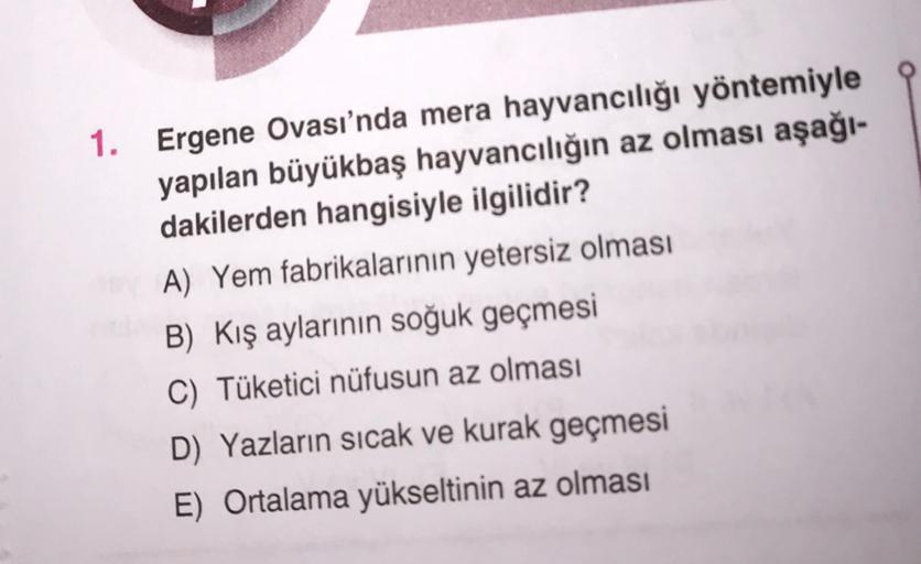 1. Ergene Ovası'nda mera hayvancılığı yöntemiyle
yapılan büyükbaş hayvancılığın az olması aşağı-
dakilerden hangisiyle ilgilidir?
A) Yem fabrikalarının yetersiz olması
B) Kış aylarının soğuk geçmesi
C) Tüketici nüfusun az olması
D) Yazların sıcak ve kurak geçmesi
E) Ortalama yükseltinin az olması