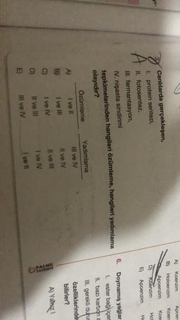 Koenzim
A)
B)
Apoen
Koen
Holoenzim
Koe
yi-
B
D)
Apoenzim
Koenzim
Apoenzim
Ho
E)
Ho
Canlılarda gerçekleşen,
1. protein sentezi,
II. fotosentez,
III. fermantasyon,
I. nişasta sindirimi
tepkimelerinden hangileri özümleme, hangileri yadımlama
olayıdır?
6. Doymamış yağlar
1. ester bağ\içer
II. bazı karbona
Yadımlama
III. gerekli duru
Özümleme
III ve IV
A)
I ve II
özelliklerinde
bilirler?
Il ve IV
B)
I ve III
Il ve III
A) Yakuz!
C)
I ve IV
PALME
YAYINEVI
I ve IV
D)
Il ve III
I ye ti
E)
Il ve IV
