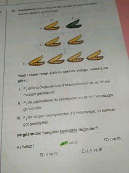 20. Bezelyelerde tohum rengi ile ilgili yapılan bir çaprazlamanın
durumu aşagıda gösterilmiştir
B
F1
MAISTRU
F2:
Yeşil tohum rengi alelinin çekinik olduğu bilindiğine
göre;
1. F, dölünü oluşturan Ave B bezelyelerinden en az biri ho-
mozigot genotiplidir.
II. F'de çaprazlanan iki bezelyeden en az biri heterozigot
genotiplidir.
III. F'de oluşan bezelyelerden 3'ü heterozigot, 1'i homozi-
got genotiplidir.
yargılarından hangileri kesinlikle doğrudur?
C) I ve III
B) ve !!
A) Yalnız!
E) I, II ve III
D) II ve III