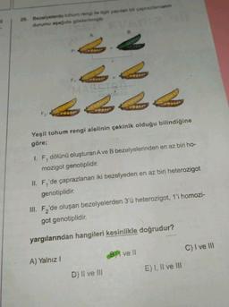 20. Bezelyelerde tohum rengi ile ilgili yapılan bir çaprazlamanın
durumu aşagıda gösterilmiştir
B
F1
MAISTRU
F2:
Yeşil tohum rengi alelinin çekinik olduğu bilindiğine
göre;
1. F, dölünü oluşturan Ave B bezelyelerinden en az biri ho-
mozigot genotiplidir.
II. F'de çaprazlanan iki bezelyeden en az biri heterozigot
genotiplidir.
III. F'de oluşan bezelyelerden 3'ü heterozigot, 1'i homozi-
got genotiplidir.
yargılarından hangileri kesinlikle doğrudur?
C) I ve III
B) ve !!
A) Yalnız!
E) I, II ve III
D) II ve III
