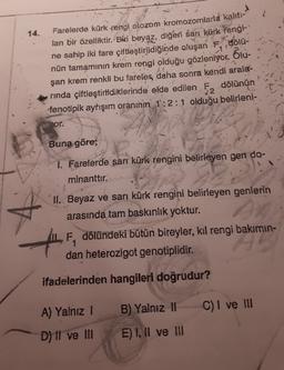 2
14.
Farelerde kürk rengi olozom kromozomlarla kaliti-
lan bir özelliktir. Biri beyaz, diğeri šarı kürk rengi-
ne sahip iki fare çiftleştirildiğinde oluşan F, dölü-
nün tamamının krem rengi olduğu gözleniyor. Olu-
şan krem renkli bu fareler daha sonra kendi arala-
rinda çiftleştirildiklerinde elde edilen F, dölünün
fenotipik ayrışım oraninin 1:2:1 olduğu belirleni-
2
or.
Buna göre;
1. Farelerde sarı kürk rengini belirleyen gen do-
minanttır.
II. Beyaz ve sarı kürk rengini belirleyen genlerin
arasında tam baskınlık yoktur.
IL, F, dölündeki bütün bireyler, kıl rengi bakımın-
dan heterozigot genotiplidir.
ifadelerinden hangileri doğrudur?
A) Yalnız 1
B) Yalnız 10
C) I ve III
D) Il ve II
E) I, II ve III