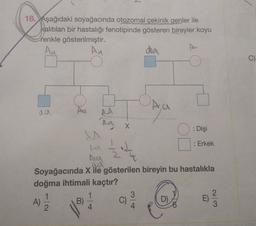 18. Aşağıdaki soyağacında otozomal çekinik genler ile
kalıtılan bir hastalığı fenotipinde gösteren bireyler koyu
renkle gösterilmiştir.
Au
da
An
C)
Ayo
3.
AA
na
aa
X
: Dişi
2
N
w
ta
: Erkek
su
ad
Soyağacında X ile gösterilen bireyin bu hastalıkla
doğma ihtimali kaçtır?
1
1
3
2
)
E)
4
A)
B)
