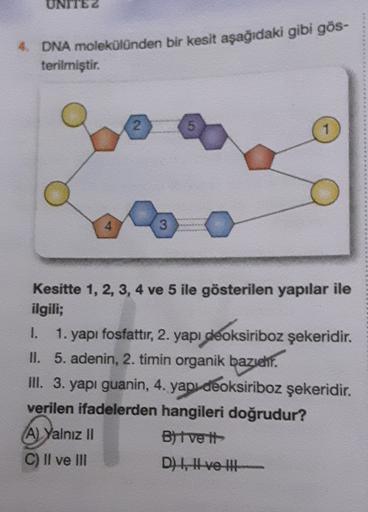 UNITEZ
4. DNA molekülünden bir kesit aşağıdaki gibi gös-
terilmiştir
.
2
5
1
3
Kesitte 1, 2, 3, 4 ve 5 ile gösterilen yapılar ile
ilgili;
1. 1. yapı fosfattır, 2. yapi deoksiriboz şekeridir.
II. 5. adenin, 2. timin organik bazie
III. 3. yapı guanin, 4. yapı deoksiriboz şekeridir.
verilen ifadelerden hangileri doğrudur?
A) Yalnız II
Byt vett
C) II ve III
D), Hve the
