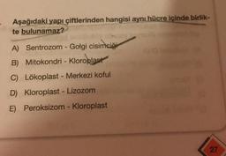Aşağıdaki yapı çiftlerinden hangisi aynı hücre içinde birlik-
te bulunamaz?
A) Sentrozom - Golgi cisimciği
B) Mitokondri - Kloroplast
C) Lökoplast - Merkezi koful
D) Kloroplast - Lizozom
E) Peroksizom - Kloroplast
27